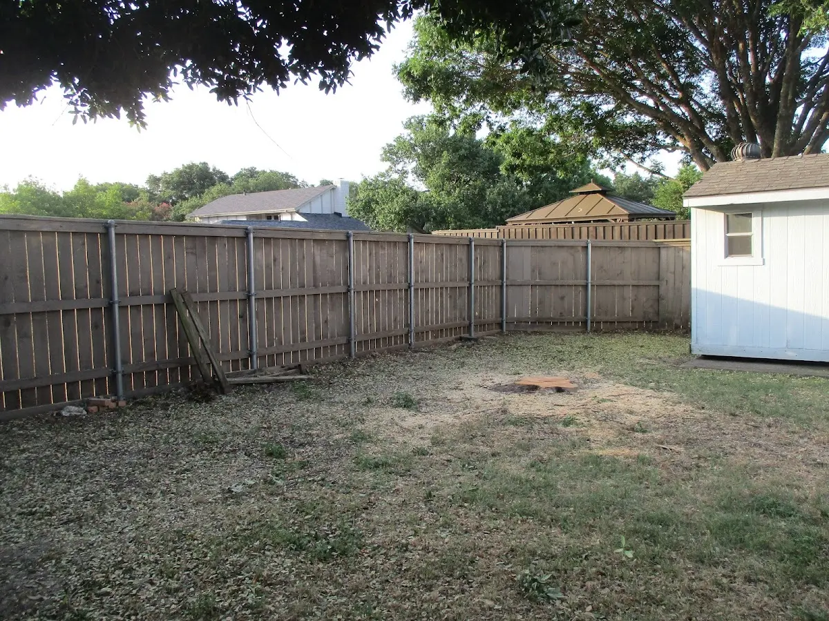 Cleared yard after professional tree removal in Monroe